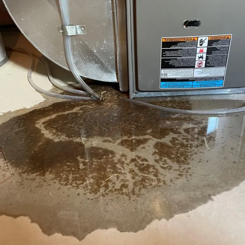 Pipe Burst and Leak Restoration in Hobart, OK